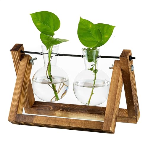 Estación De Propagación para Plantas, Macetero con Bombilla De Actualización con Soporte De Madera, Maceta De Vidrio, Interior para Decoración De Mesa, Centro De Mesa, Accesorios