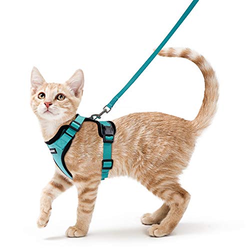 rabbitgoo Cat Harness and Leash for Walking, Escape Proof Soft Adjustable Vest Harnesses for Cats, Easy Control Breathable Reflective Strips Jacket, Emerald, S