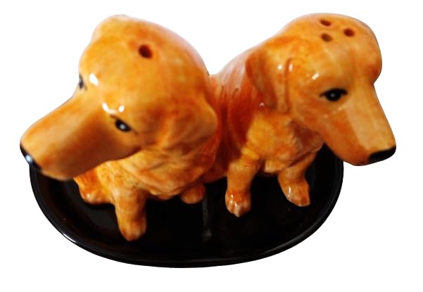 Keramik Salz und Pfefferstreuer Set mit Hundemotiv (Golden Retriever)