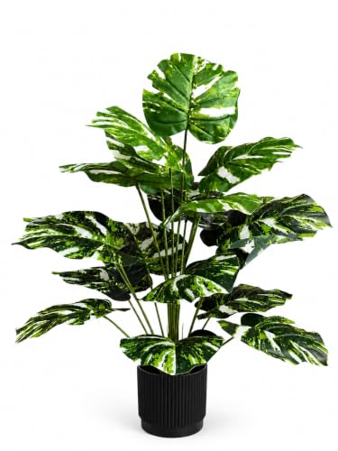 Image of Cocco.BUA Artificial Plant with Black Pot, 18 Leaves, 76 CM (2.5 Feet) (Philodendron Plant)