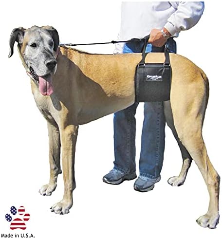 GINGERLEAD Dog Sling Hip Support Harness, Tall Female fits Tall, Lean Female Dogs Like Greyhounds or Great Danes. Padded Lifting Aid to Help em Up or Down Steps, in or Out of Vehicles. Made in U.S.A.