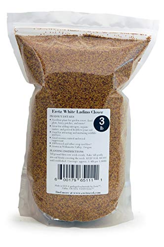 White Clover Seed By Eretz - Premium Willamette Valley, Oregon Grown Non-Gmo Seeds, No Coatings, No Weed Seeds (3Lb) #TOP4