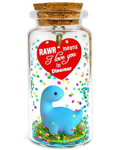 Cadeau de Saint-Valentin romantique avec message en bouteille Dinosaure pour amoureux