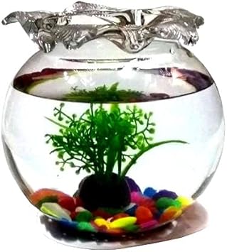 Presenting Shiny Clear Crystal Fish Bowl for Decoration Purpose (Pack of 1) (6 inch)