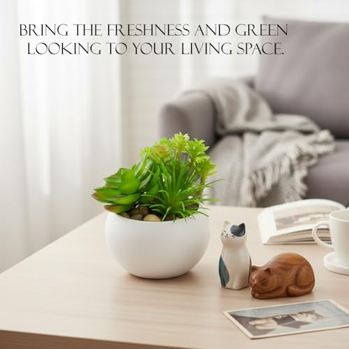 Image of KARP Artificial Potted Plants, 12Cm Height Mini Faux Succulent Flowers with White PVC Pots Home Decor, Artificial Ornamental Plant for Living Room, Office Desk & Bathroom, Decorative