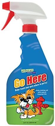 Davis Go Here Potty Training Aid, 22 oz