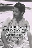 Rosa Parks Quote Poster