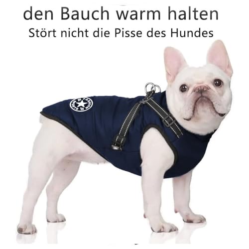 Voarge Hundejacke Winterweste Jacken, Hundemantel mit Geschirr für Kleine Hunde Hundemantel Wasserdicht Maschinen Waschbarer Reflektierender Streifen Design Haltbarer D-Ring (Blau, L)