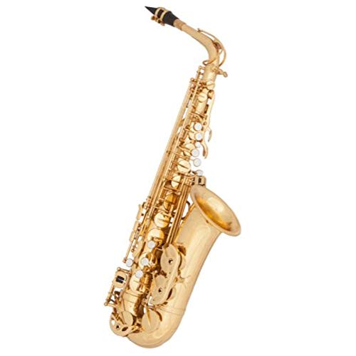 Student Alto Saxophone Lacquer
