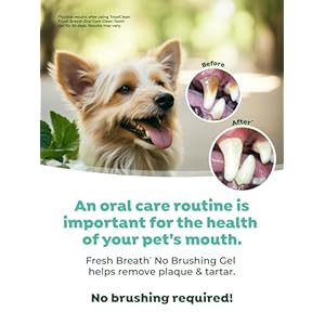 TropiClean Clean Teeth Gel for Dogs | Dog Dental Care | Dog Toothpaste | Breath Freshener | Easy Teeth Cleaning | Made in The USA | 2 oz.