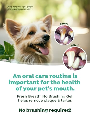 TropiClean Clean Teeth Gel for Dogs | Dog Dental Care | Dog Toothpaste | Breath Freshener | Easy Teeth Cleaning | Made in The USA | 2 oz. TropiClean Clean Teeth Gel for Dogs | Dog Dental Care | Dog Toothpaste | Breath Freshener | Easy Teeth Cleaning | Made in The USA | 2 oz.