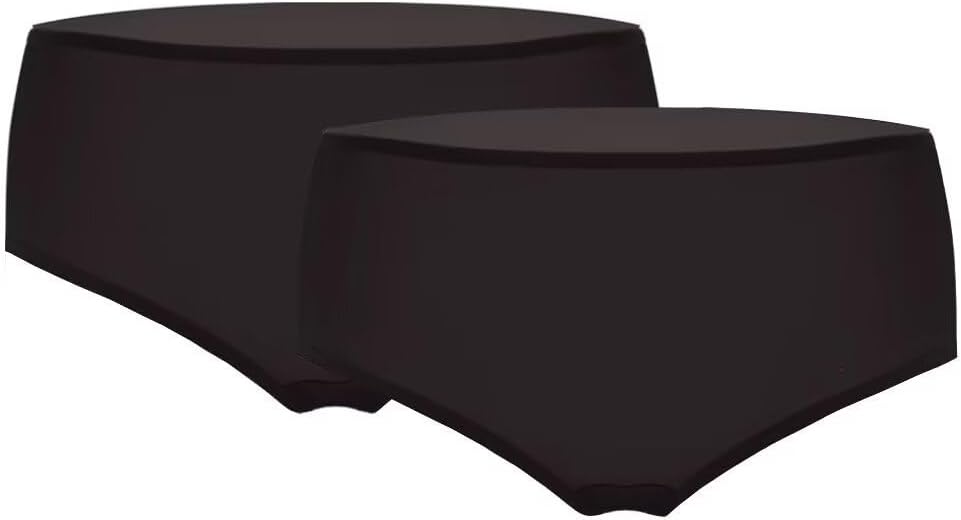 SilRiver Women's 100% Silk Panty Briefs Travel Hipster Bikini Underwear (2pcs Pack) Breathable Underpants