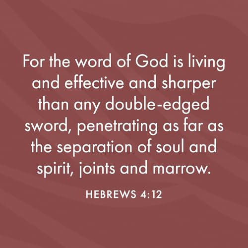 Impossible to Be Restored?: Temptation and Warning in the Epistle of Hebrews (New Studies in Biblical Theology) - image 5