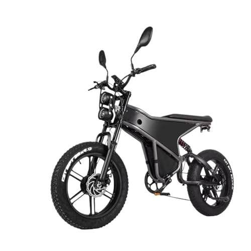 LBLYTO Electric Bike DM711 2000W Dual Drive 48V 20Ah Bicycle 20 * 4.0 Fat Tires max Speed 50 km/h Mountain E-Bike(2000W 48V 20AH)