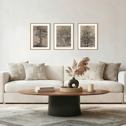Image of KAIRNE Vintage Tree Sketch Framed Canvas Wall Art Set, Antique Tree Drawings Wall Decor, Retro Forest Art Prints, Modern Nature Landscape Artwork for Living Room, Bedroom, Farmhouse, Office-12 x16 x3