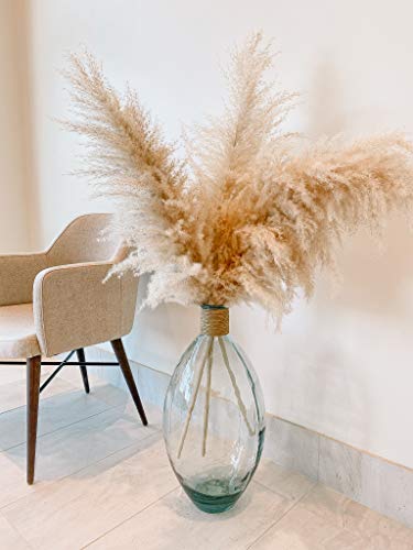 Grama de pampas natural e seca (3 peças) para arranjo de flores e decoração de vaso – plume boêmio e
