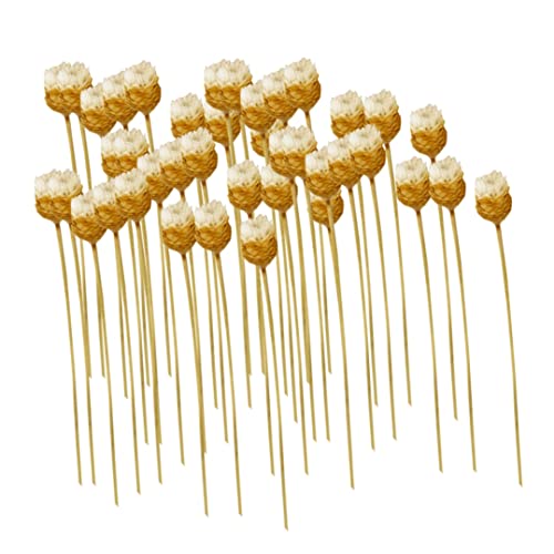 Ramo de margaritas secas naturales con 50 tallos blancos miniatura 1