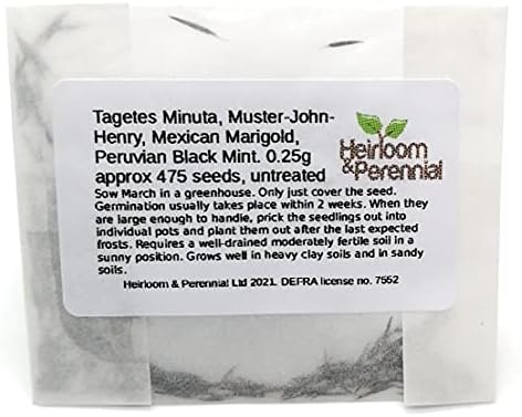 Tagetes Minuta, Muster-John-Henry, Mexican Marigold, Peruvian Black Mint, 0.25g Approx 475 Seeds