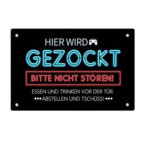 Targa in metallo, 30 x 20 cm, decorazione per camera da gioco, per ragazzi e ragazze, zocker gaming, decorazione per sala da gioco, non disturbare la tranquillità