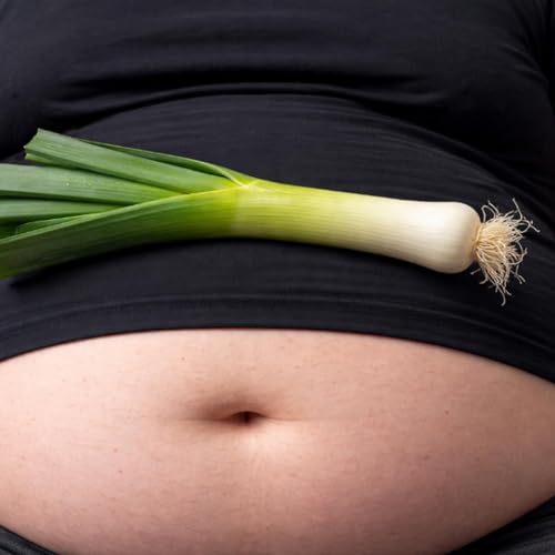 Lauch und Bauch cover art