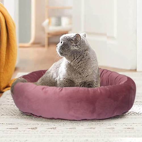 Cutepups (Small Size,Blush RED Color Round Shapes and Reversible Soft Velvet Dog Bed for Sleeping and Non-Slip Bottom Pet Bed for Dogs Cutepups (Small Size,Blush RED Color Round Shapes and Reversible Soft Velvet Dog Bed for Sleeping and Non-Slip Bottom Pet Bed for Dogs