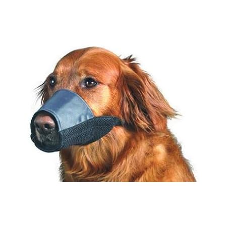 soft dog muzzle petco
