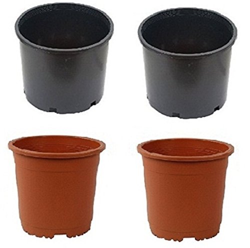 SPHINX Plastic Small Nursery Pots Planters - (Height/Depth - 10 cms/4 Inches) -COLOR AS PER STOCK) (4)