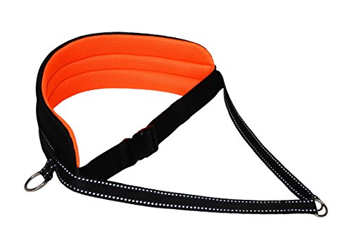 LASALINE Bauchgurt für Canicross Dogtrekking Ski-Jöring Touren Hundesport in Schwarz-Neonorange Cover