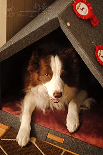 Rexproduct - PetHome Hundehütte mit Liegefläche und Dach I Biss- und Kratzfest I Gute Schalldämmung I Umweltfreundlich & Einfach zu Montieren I Größe S (60x42x43 cm) - Dunkelgrau und Rot