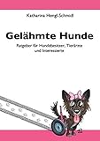  Gelähmte Hunde: Ratgeber für Hundebesitzer, Tierärzte und Interessierte