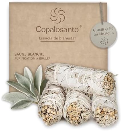 4 Unita di Salvia Bi...