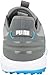 Puma Golf Men's Ignite Elevate DISC Golf Shoe, Quiet Shade-Puma Silver, 9.5