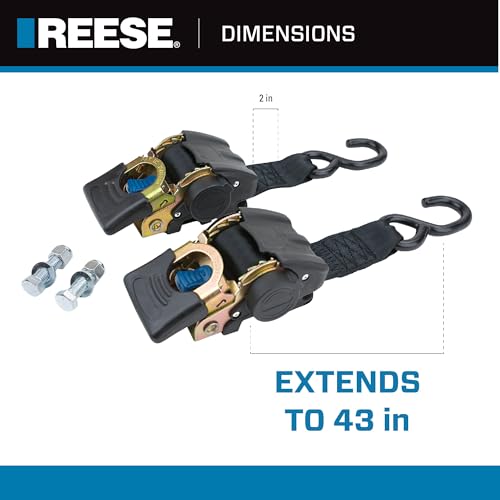 image for Reese Powersports 2060300 Retractable Transom Tie Down, 2 Inch x 43 In