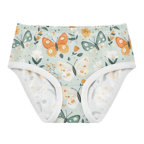 ZZKKO Farmhouse Butterfly Flower Girls Underwear Toddler Panties for Girls Comfort Brief Size 2-8T