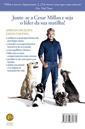 Guia rápido para um cão feliz