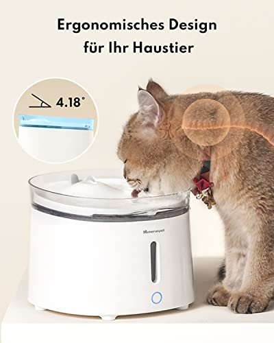 Katzenbrunnen HomeRunPet 2L – Ultraleiser Trinkbrunnen für Katzen