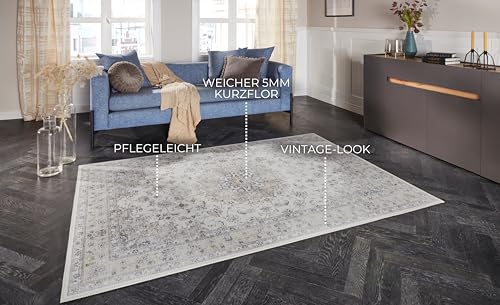 Tapis de style Nain vintage gris de qualité supérieure