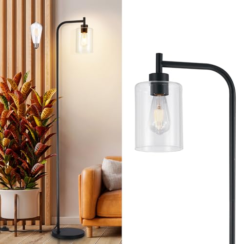 DLLT Floor Lamp Tall for Room: Black Standing Lamp with Clear Glass Lampshade for Living Room - Modern Bright Lamp for Bedroom - Industrial Corner Floor Lamps for Office 8W Led Bulb Included