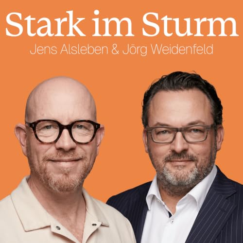 Couverture de Stark im Sturm