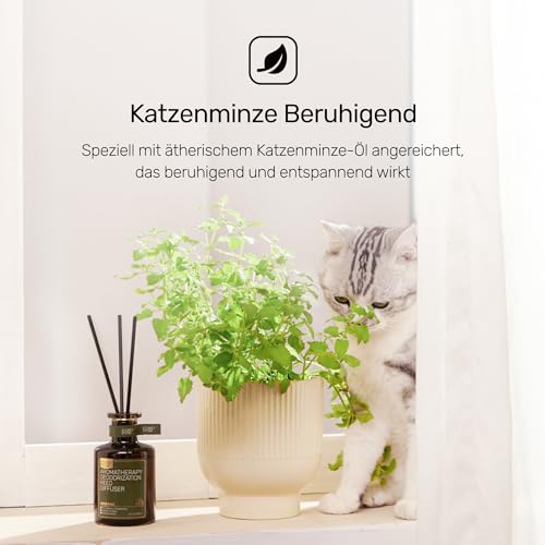 Furry Purr Raumduft (180ml), Geruchsentferner Mit Duftstäbchen - für Haustiere und Haushalt - Zarte Raumduft Stäbchen