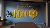 JABRA Lot de 10 coussinets simili cuir Evolve 20 et 65
