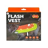 LaRoo Hunderegenmantel, Leuchtendes LED Wasserdicht Winter Reflektierende Regenmantel für Hunde mit Bauchschutz,USB Wiederaufladbarem Sicherheitsweste für Kleine Grosse Hunde(M,Fluoreszierende Orange)