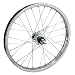 WheelMaster 16 x 1.75 Coaster Brake Rear Wheel, 28H, Steel, Bolt On, Silver