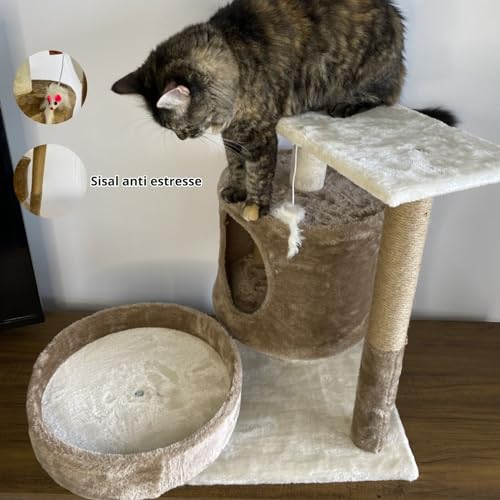 Arranhador e Brinquedos para Gatos