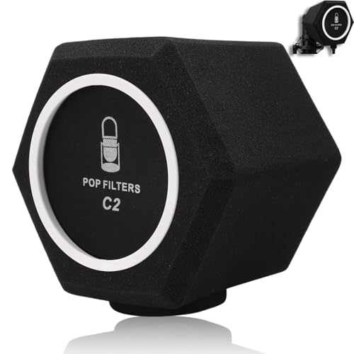 Boule d'isolation en mousse insonorisante C2 avec filtre anti-pop intégré pour micros