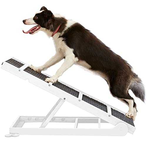 The Best Dog Ramps for Beds (According to a Vet) Pets Digest
