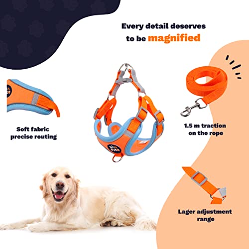 It’s 4 Pets, Dog Harness And Leash Set, Is A Dog Harness Set That Makes Your Dog Feel Comfortable In His Day To Day Outside Adventures With You. (Large) #TOP2
