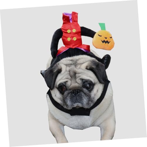 Disfraz de Calabaza para Perros y Gatos Halloween miniatura 5
