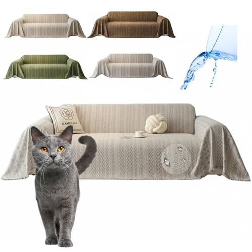 Lifetips Vg[ Chartreux \t@[Jo[ k  􂦂 h }`Jo[ 2l| 3l| It IȂ ~ Eh~ LΉ lGʗp iO[j i300180CMj