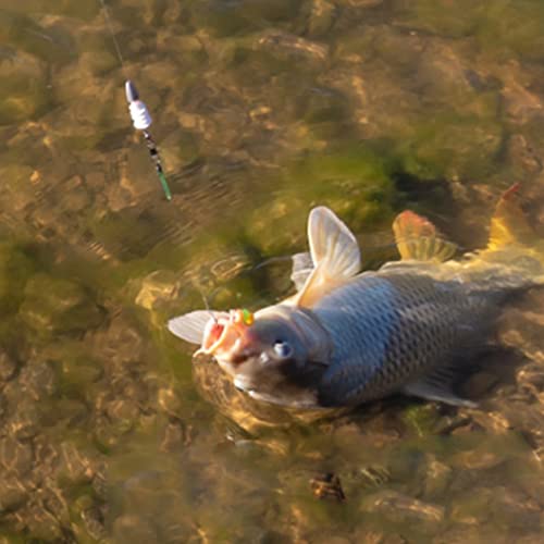 Vissen Anti Tangle Mouwen Terminal Connect Hook Carp Fishing Line Aligner Carp Vissen Rubberbuizen 30 Stks Groene Warm Selectie - Image 6